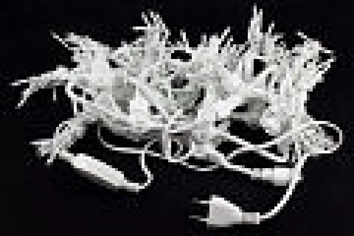 Гирлянда занавес (дождь) уличная 600 LED 2х3 м, мульти — фото 5